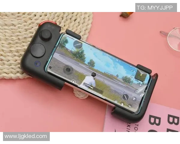 和平精英战术IG边路渗透体系解析与实战应用探讨 和平精英战术IG边路渗透体系解析与实战应用探讨